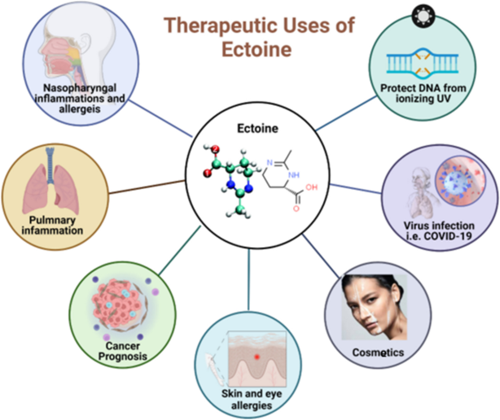 Therapeutic uses of Ectoine