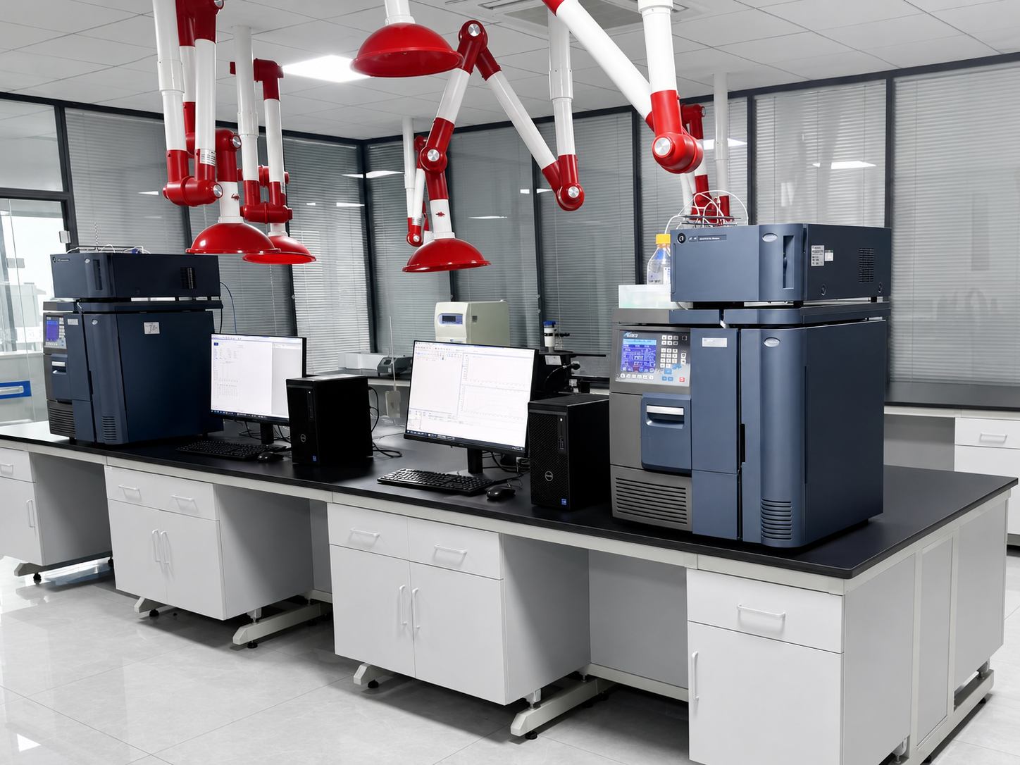 lab