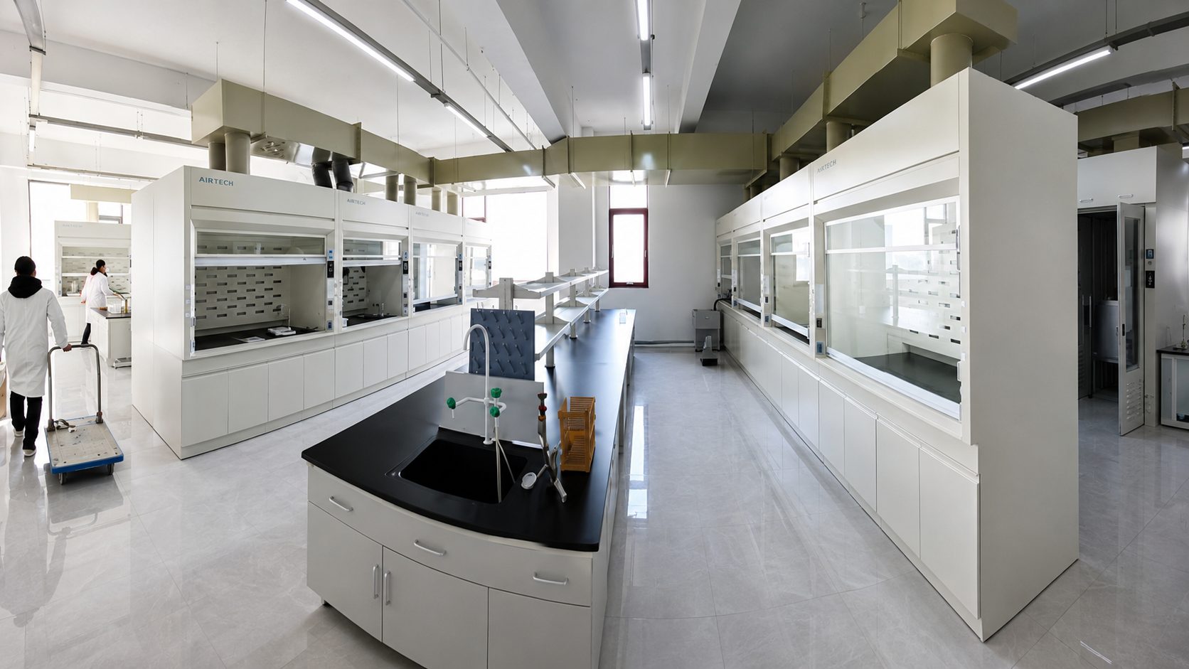 lab