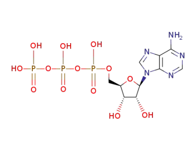 ATP