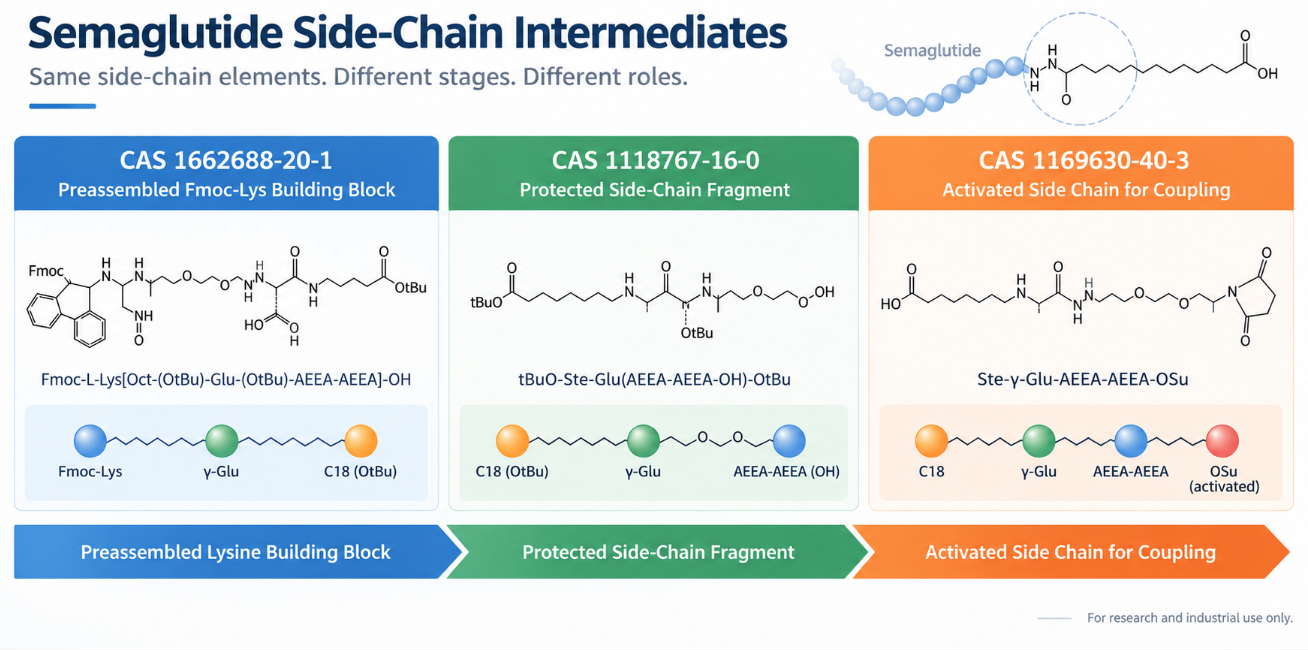 How Do Semaglutide Side-Chain Intermediates Differ? CAS 1662688-20-1 vs 1118767-16-0 vs 1169630-40-3