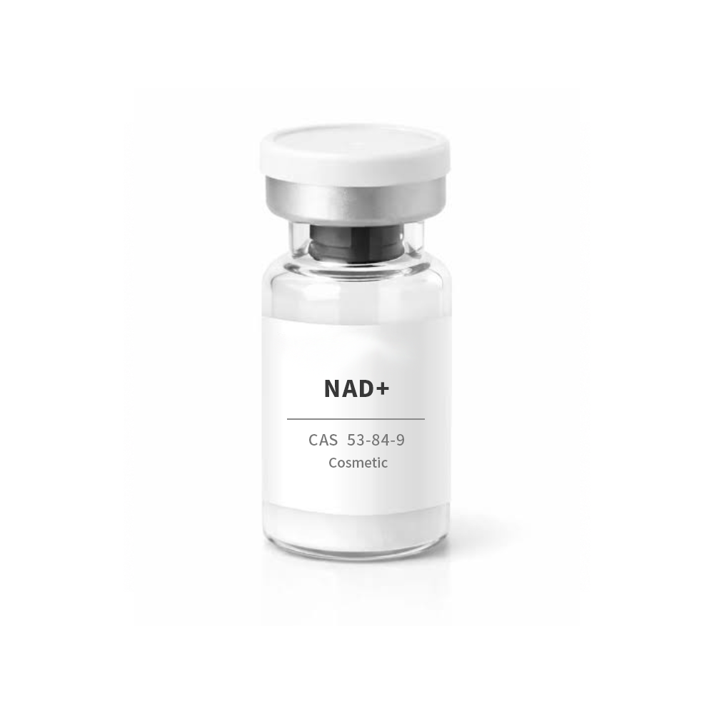 NAD+ | CAS 53-84-9